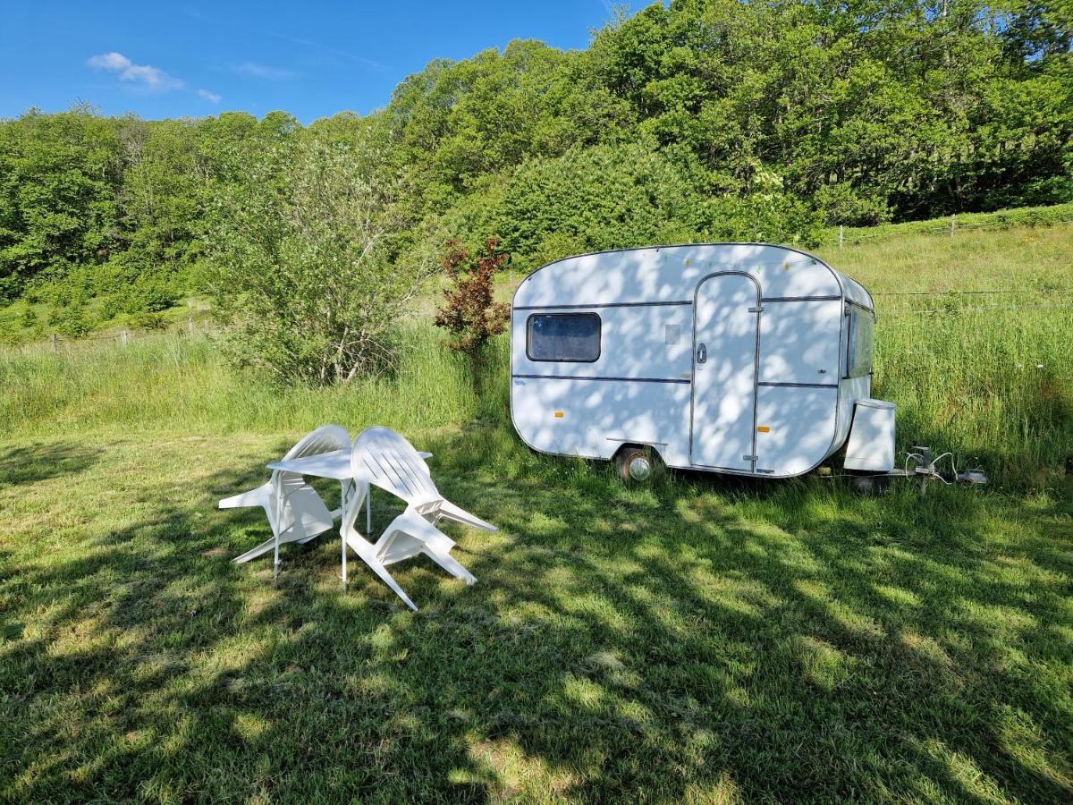 Camping La Foret Du Morvan Vintage Caravan Larochemillay 外观 照片